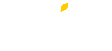 Wix