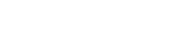 Bulma